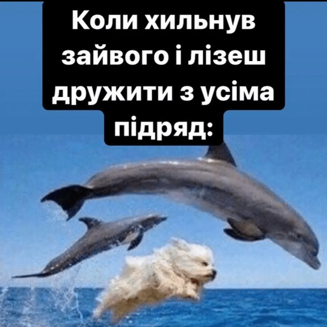IMG_20240629_155103.webp