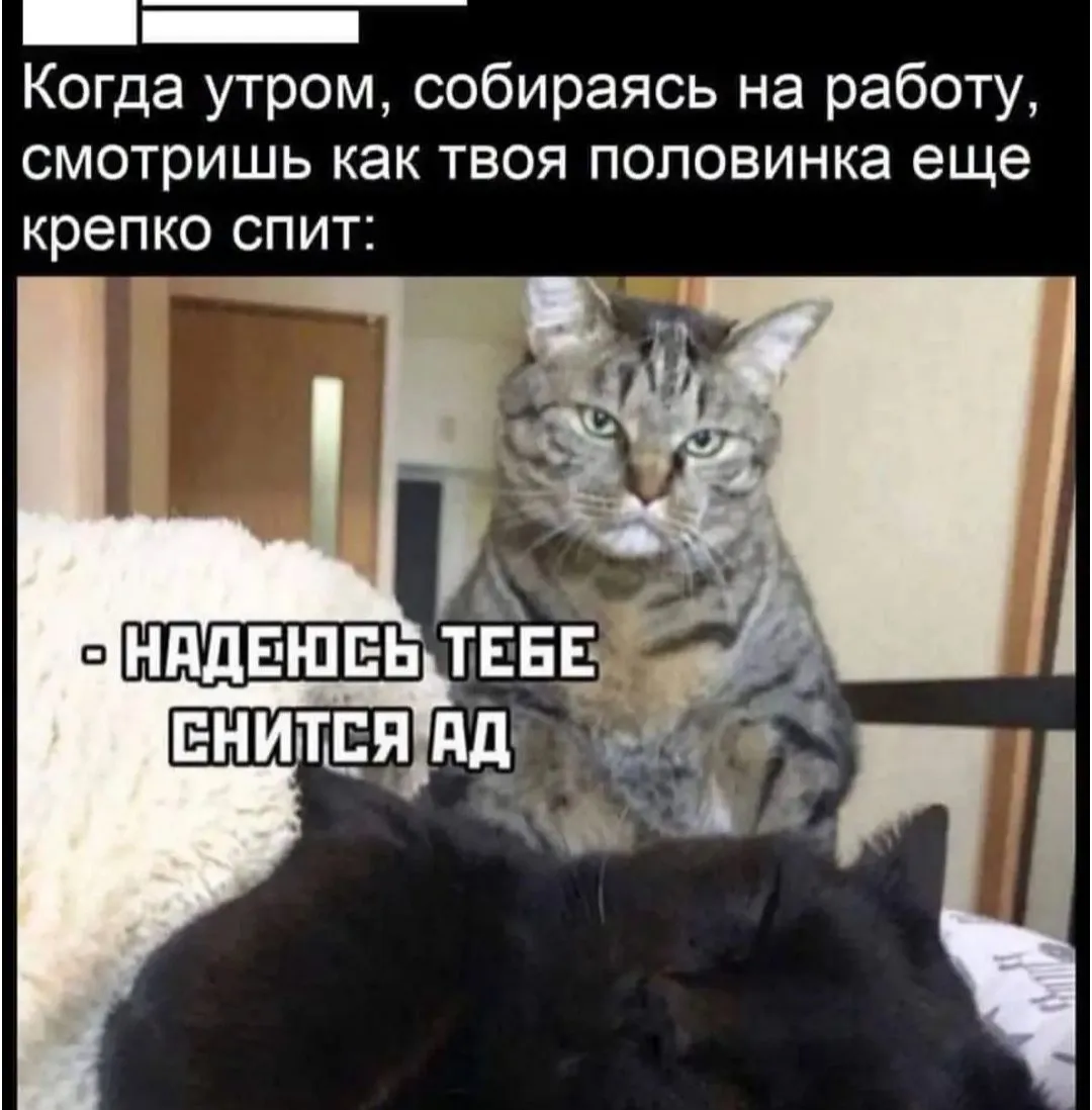 IMG_20240629_190336.webp