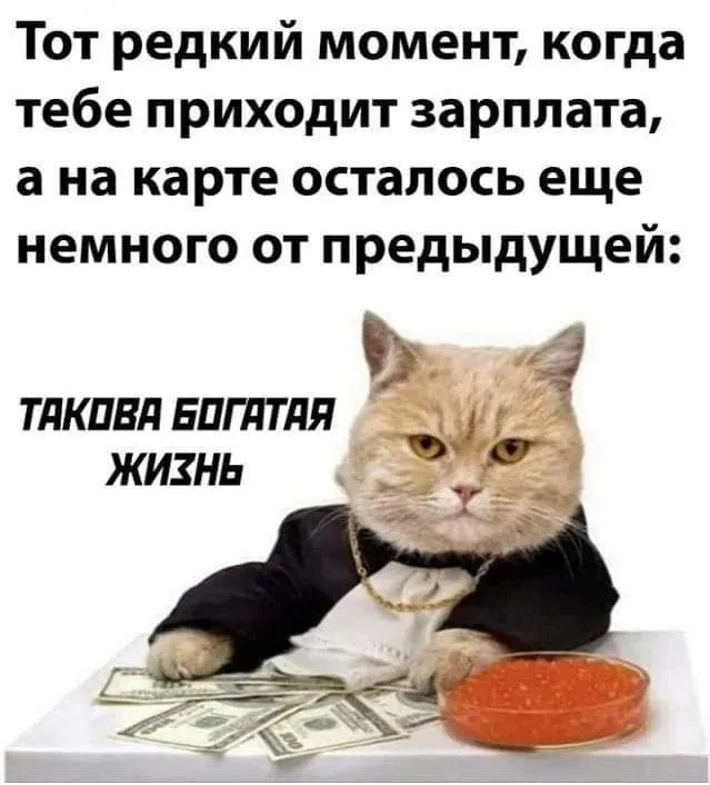 IMG_20240701_112945_130.webp