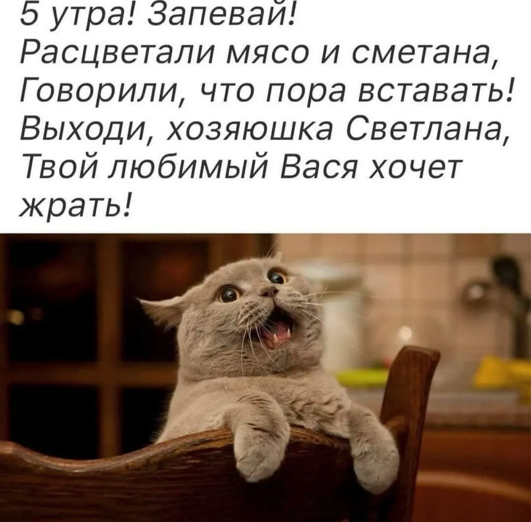 IMG_20240702_220647.webp