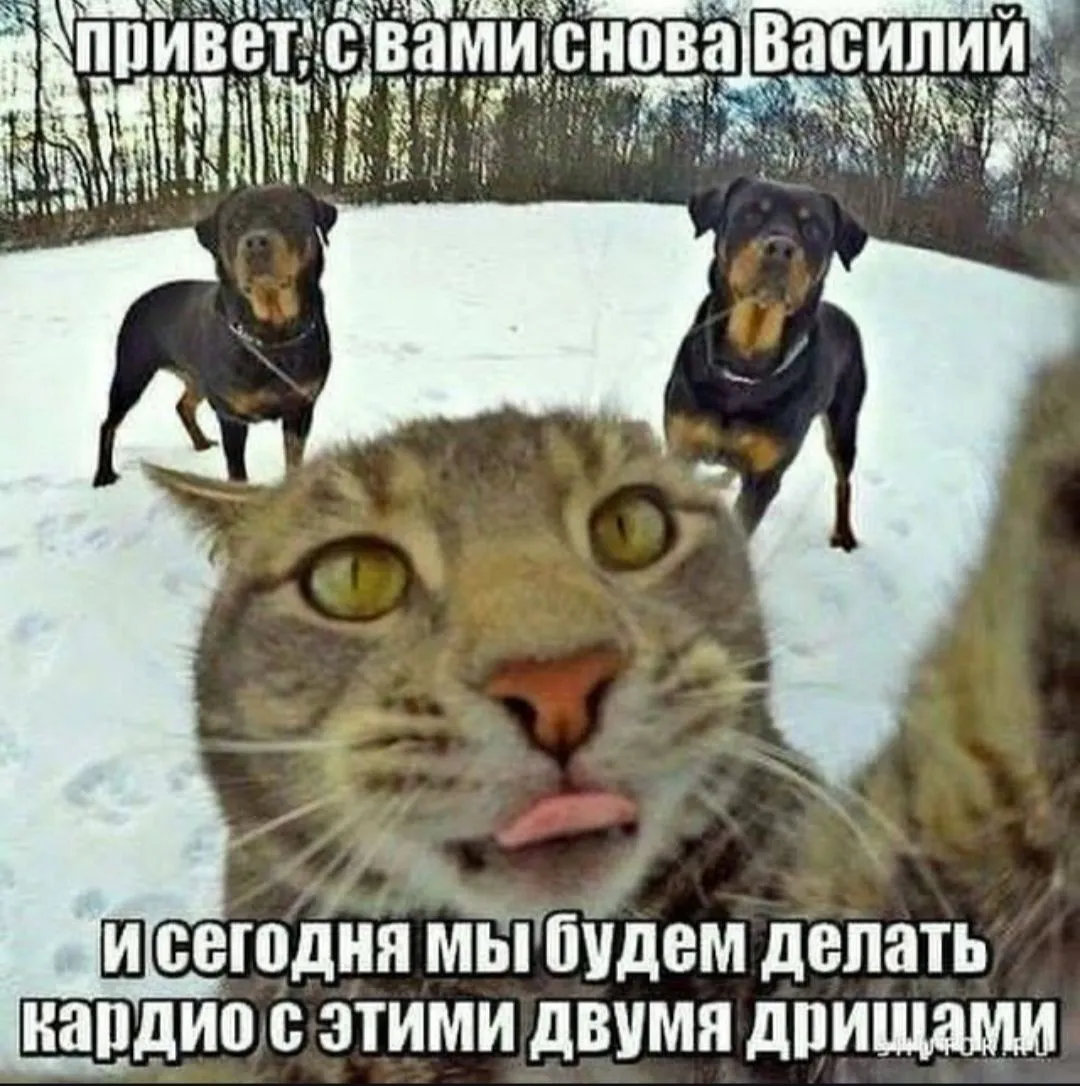 IMG_20240702_220707.webp