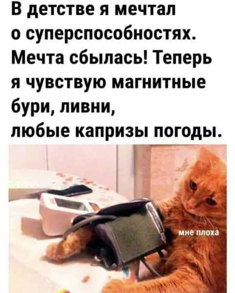IMG_20240704_145257_532.webp