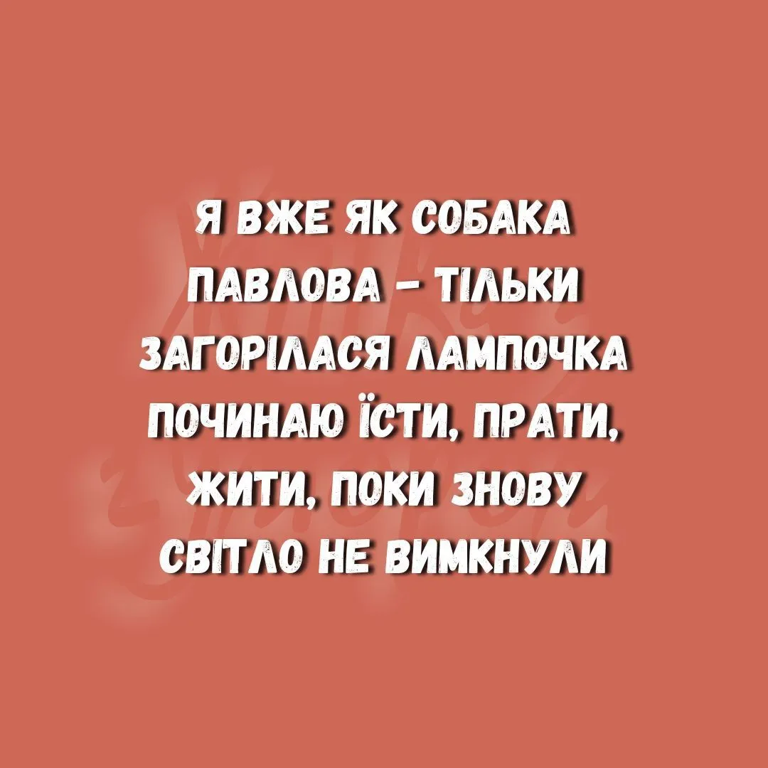 IMG_20240706_185352_023.webp