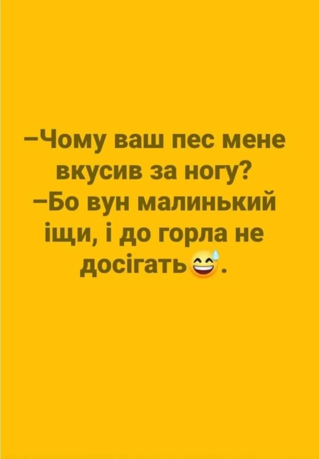 IMG_20240708_100558.webp