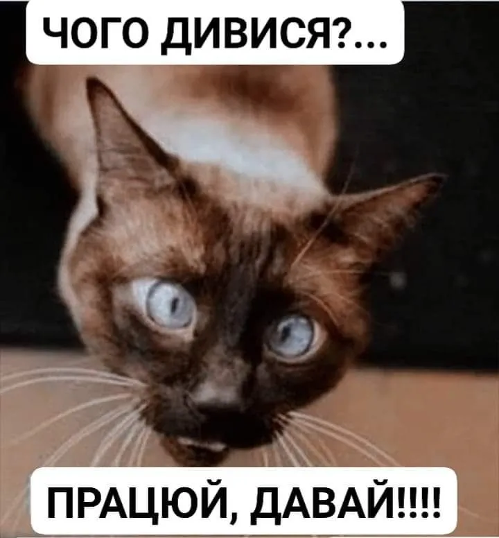 IMG_20240712_203931.webp