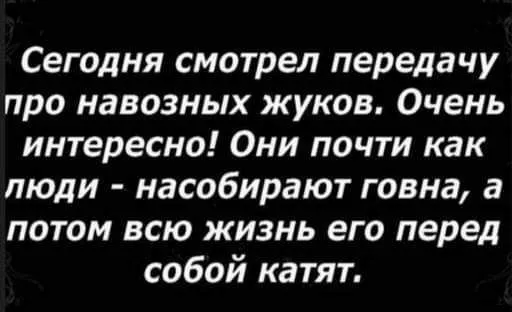 IMG_20240713_204555_152.webp