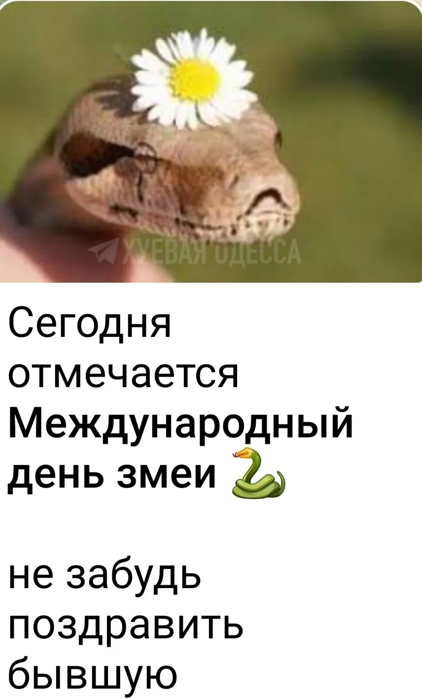 IMG_20240716_080703.webp