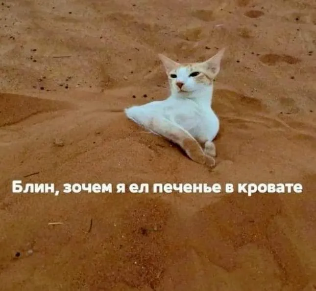 IMG_20240722_074943_998.webp