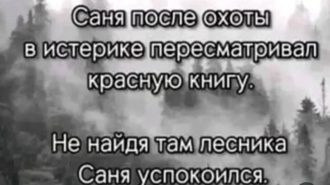 IMG_20240725_222855.webp