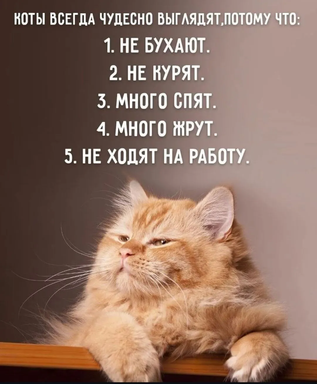IMG_20240725_225901.webp
