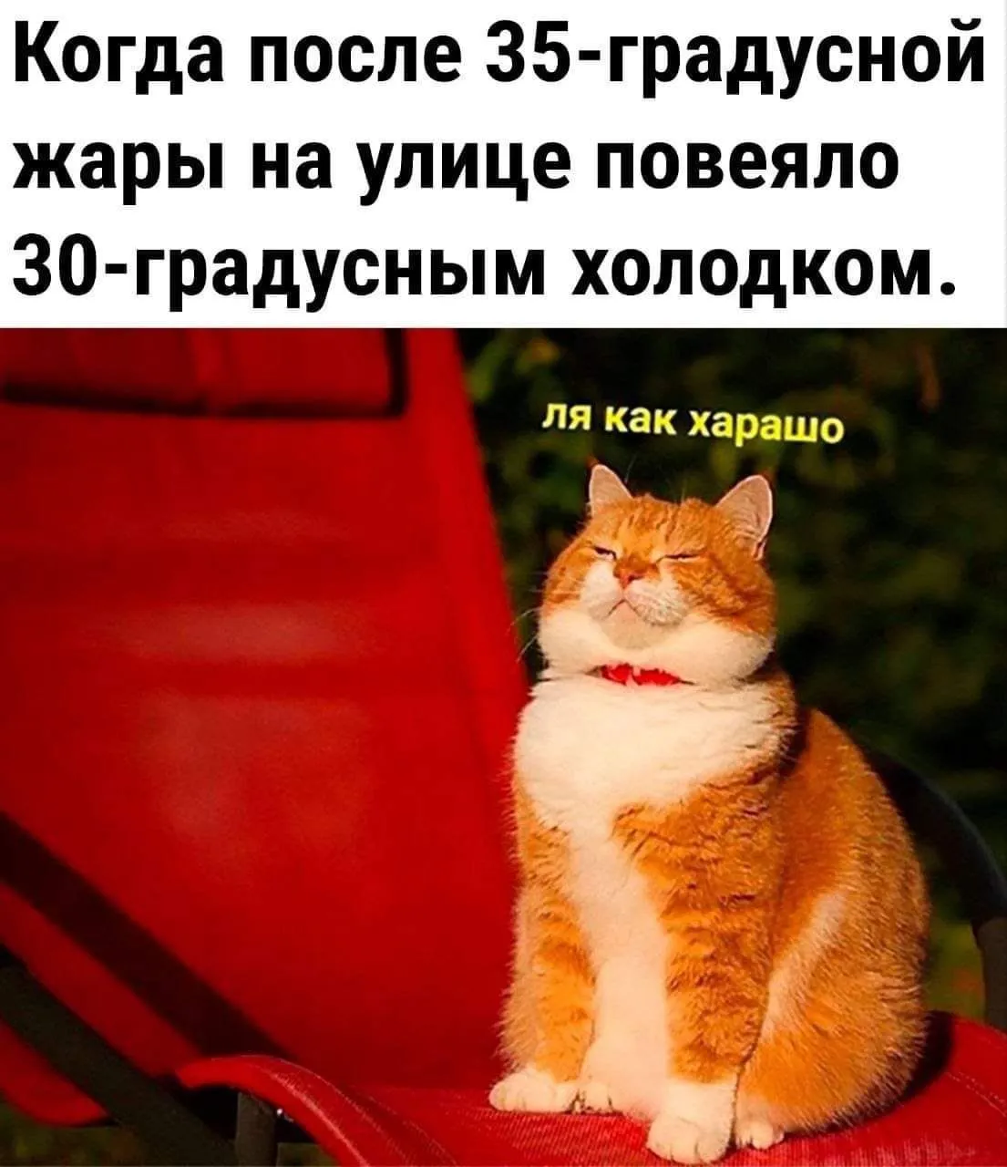 IMG_20240726_134714_916.webp