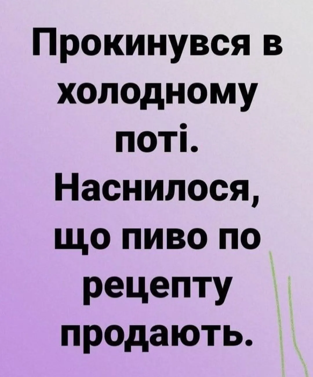 IMG_20240730_125215.webp