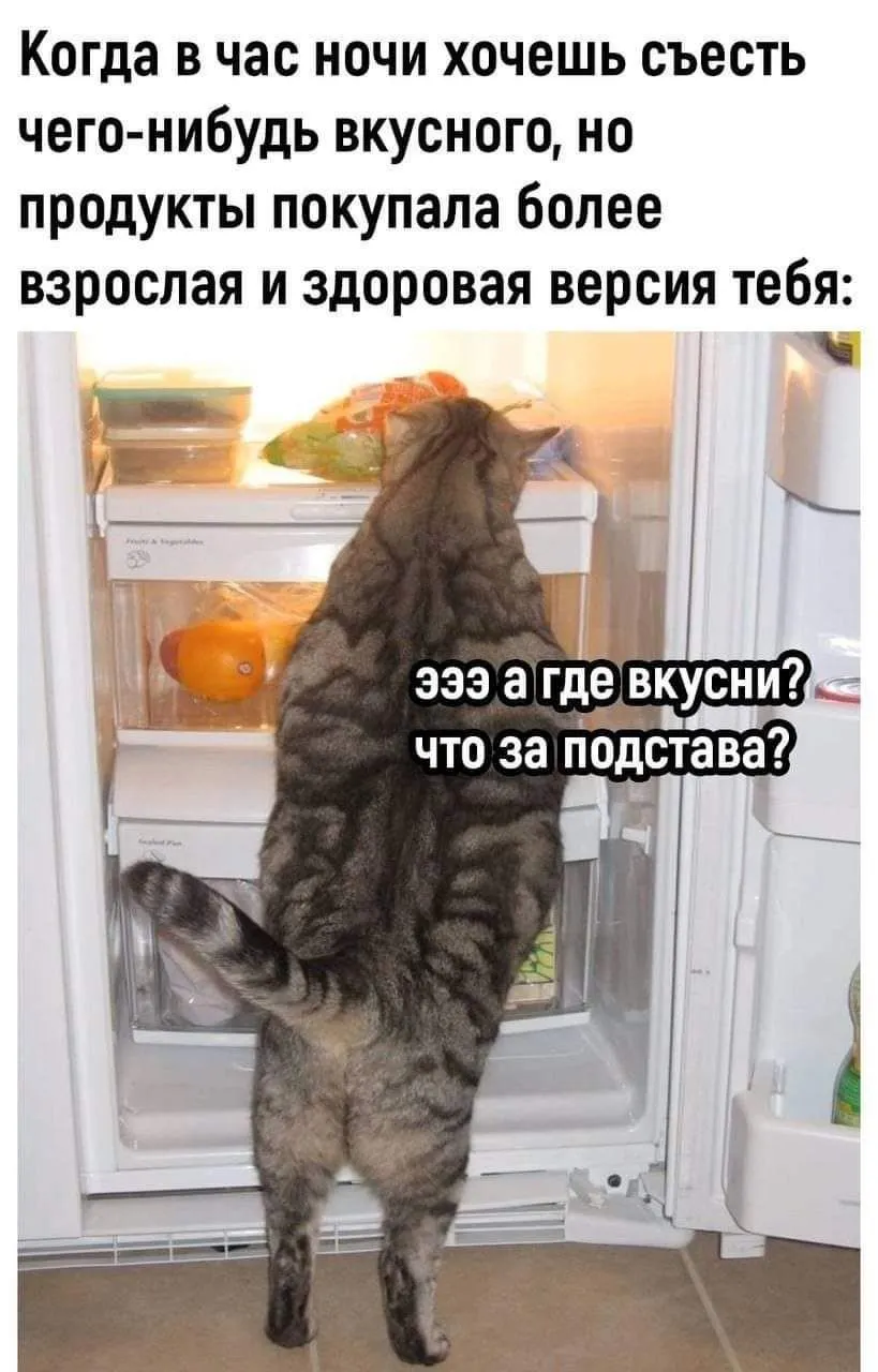 IMG_20240730_144653_306.webp