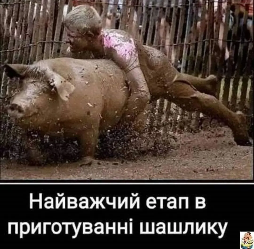 IMG_20240730_191519.webp