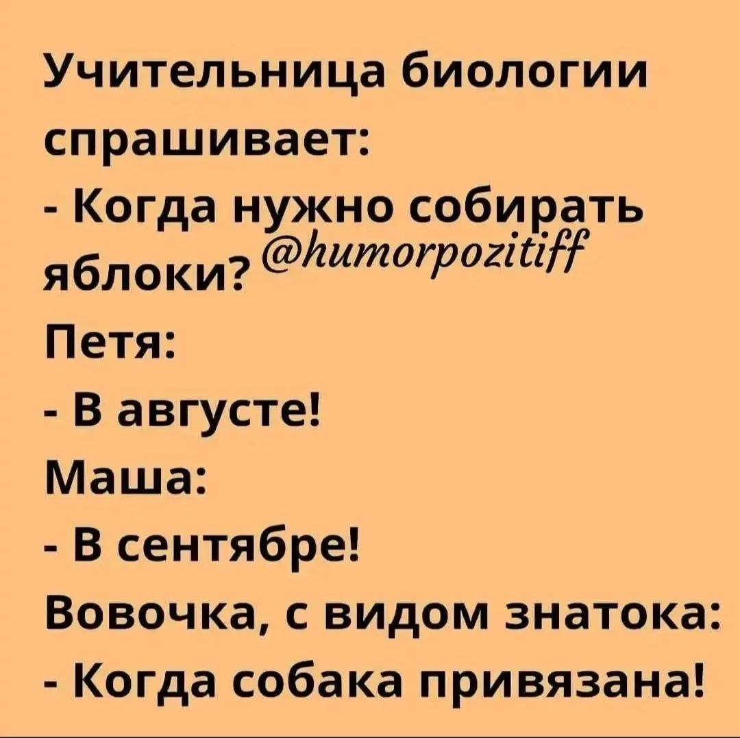 IMG_20240802_071355.webp