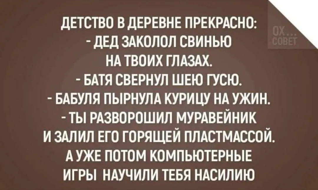 IMG_20240803_090940.webp
