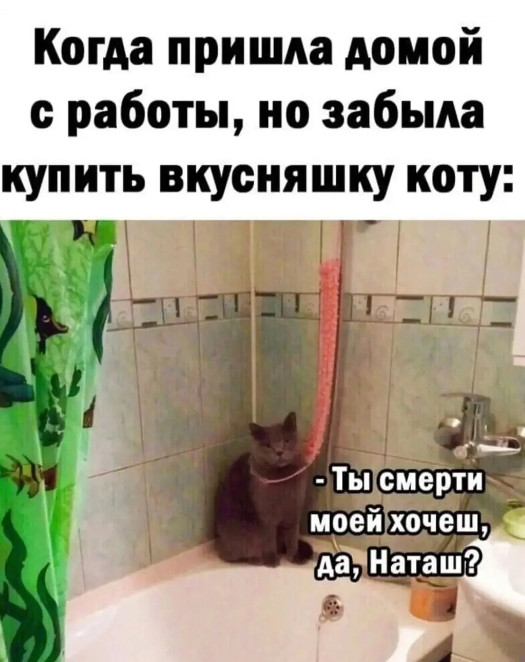 IMG_20240804_120953.webp