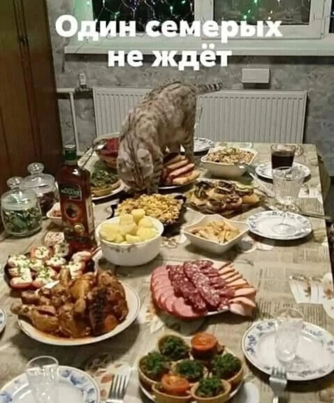 IMG_20240804_192249.webp