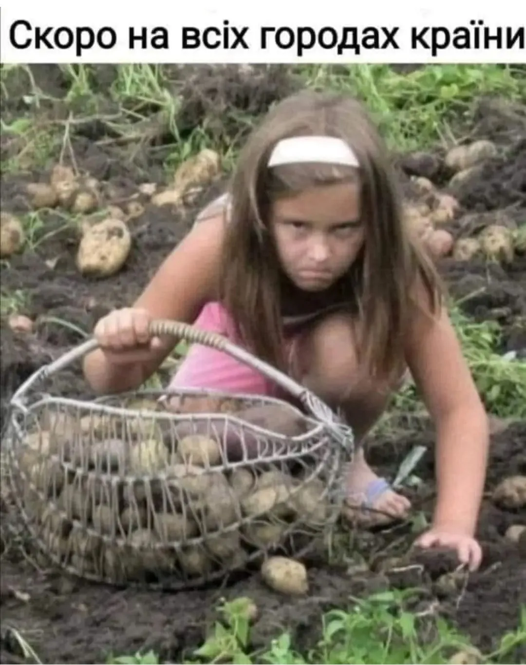 IMG_20240804_211142.webp