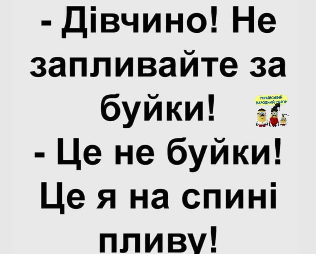 IMG_20240807_045208.webp