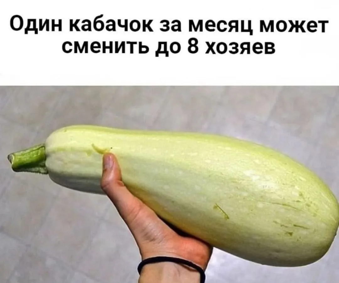 IMG_20240807_063850.webp