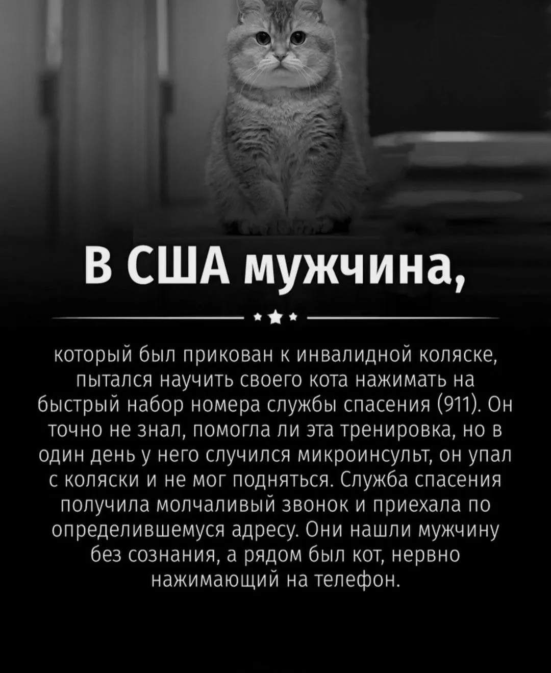 IMG_20240807_223854.webp