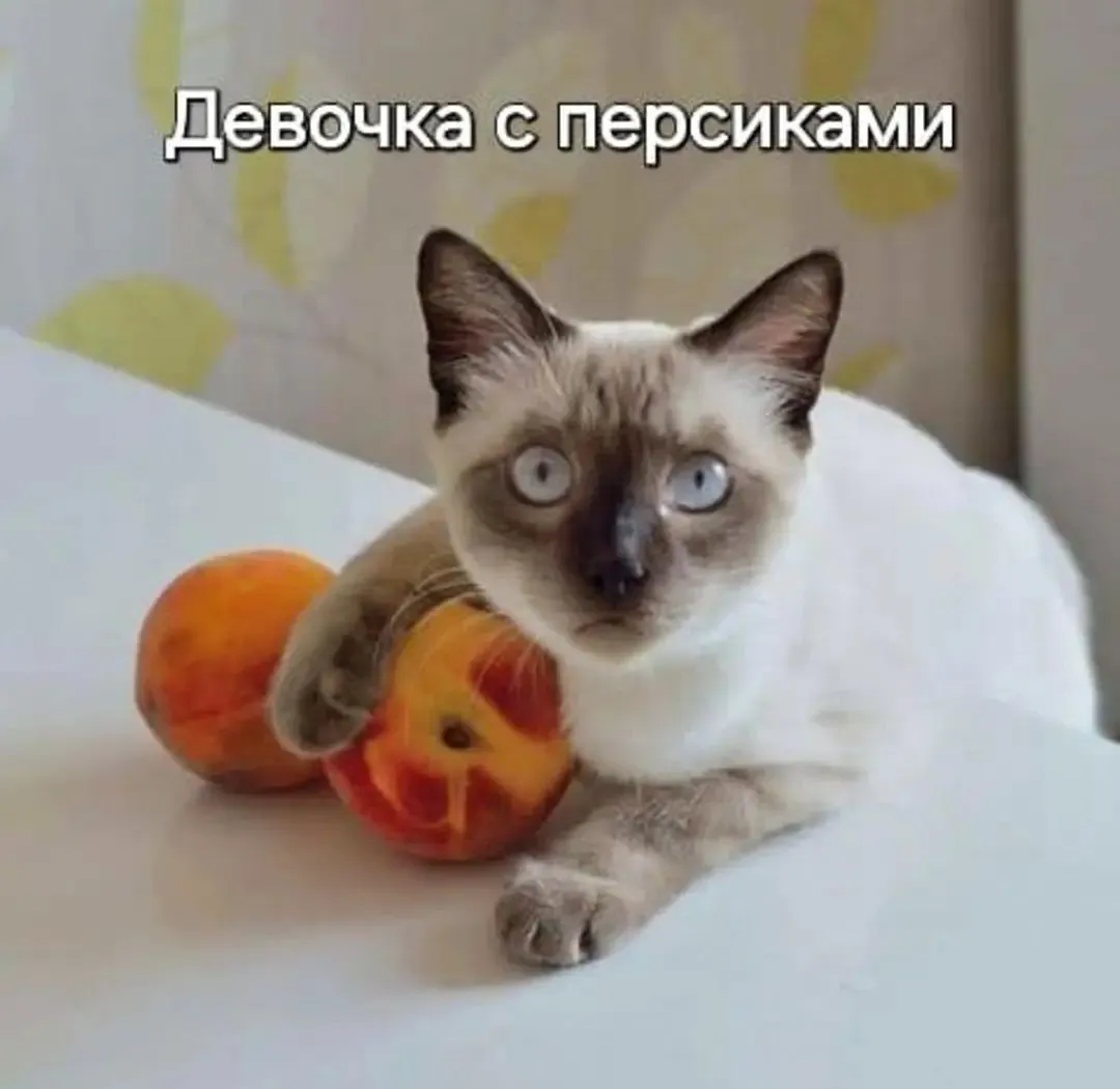 IMG_20240808_213912.webp