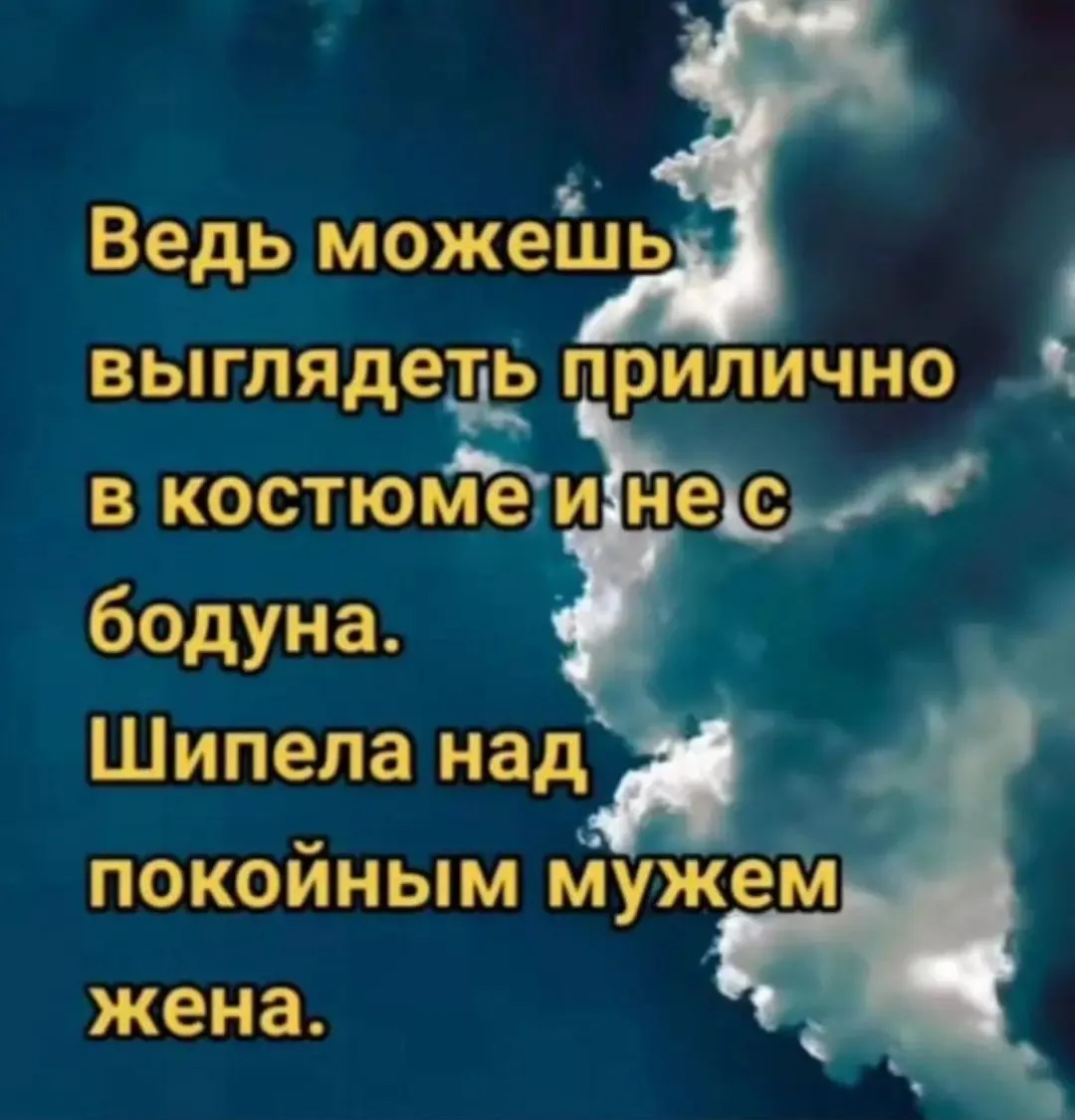 IMG_20240811_152646.webp