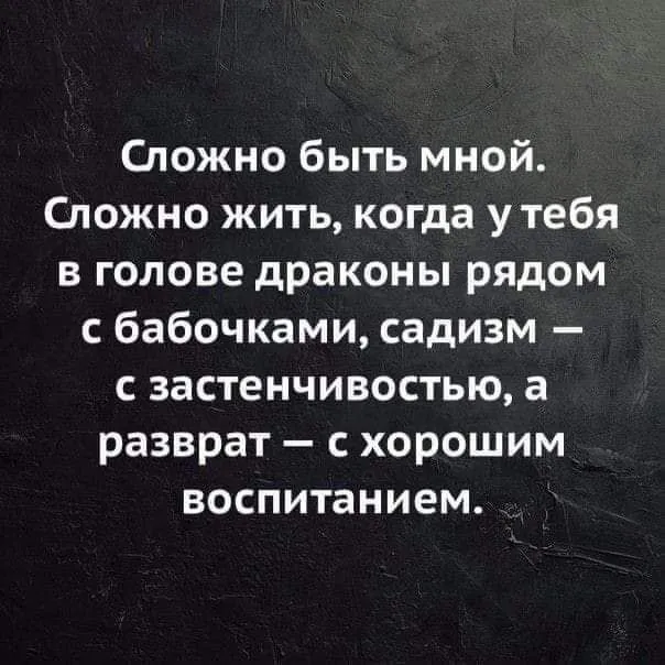 IMG_20240813_094332_613.webp