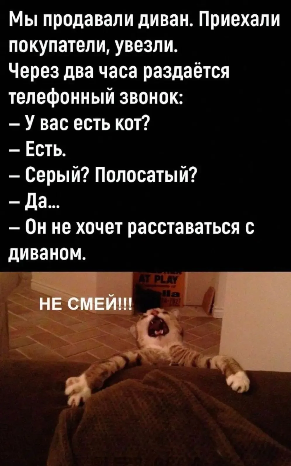 IMG_20240816_143342.webp