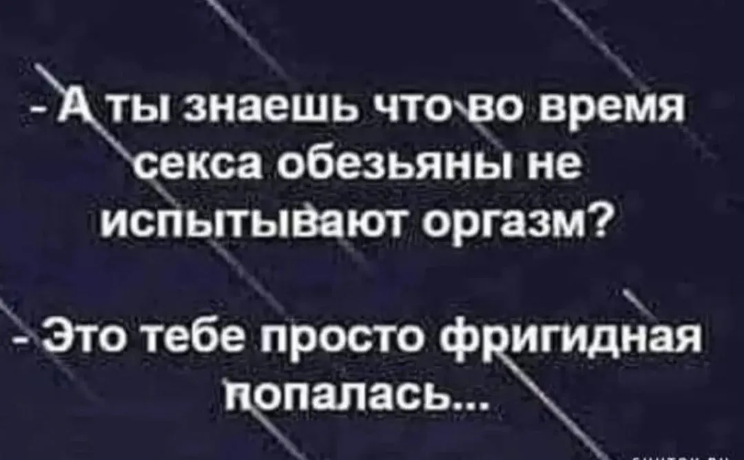 IMG_20240816_233939.webp