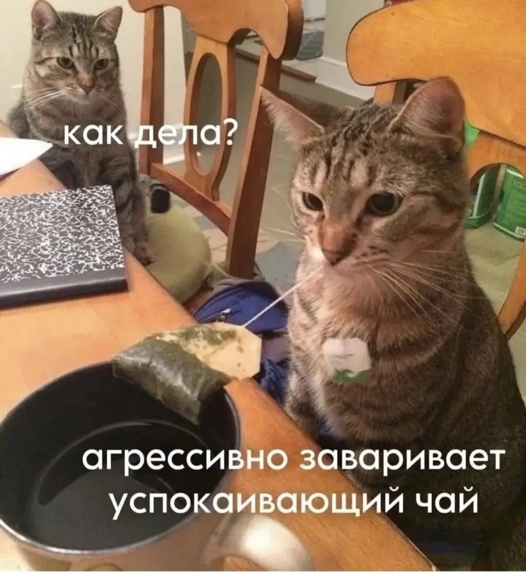 IMG_20240817_133408.webp