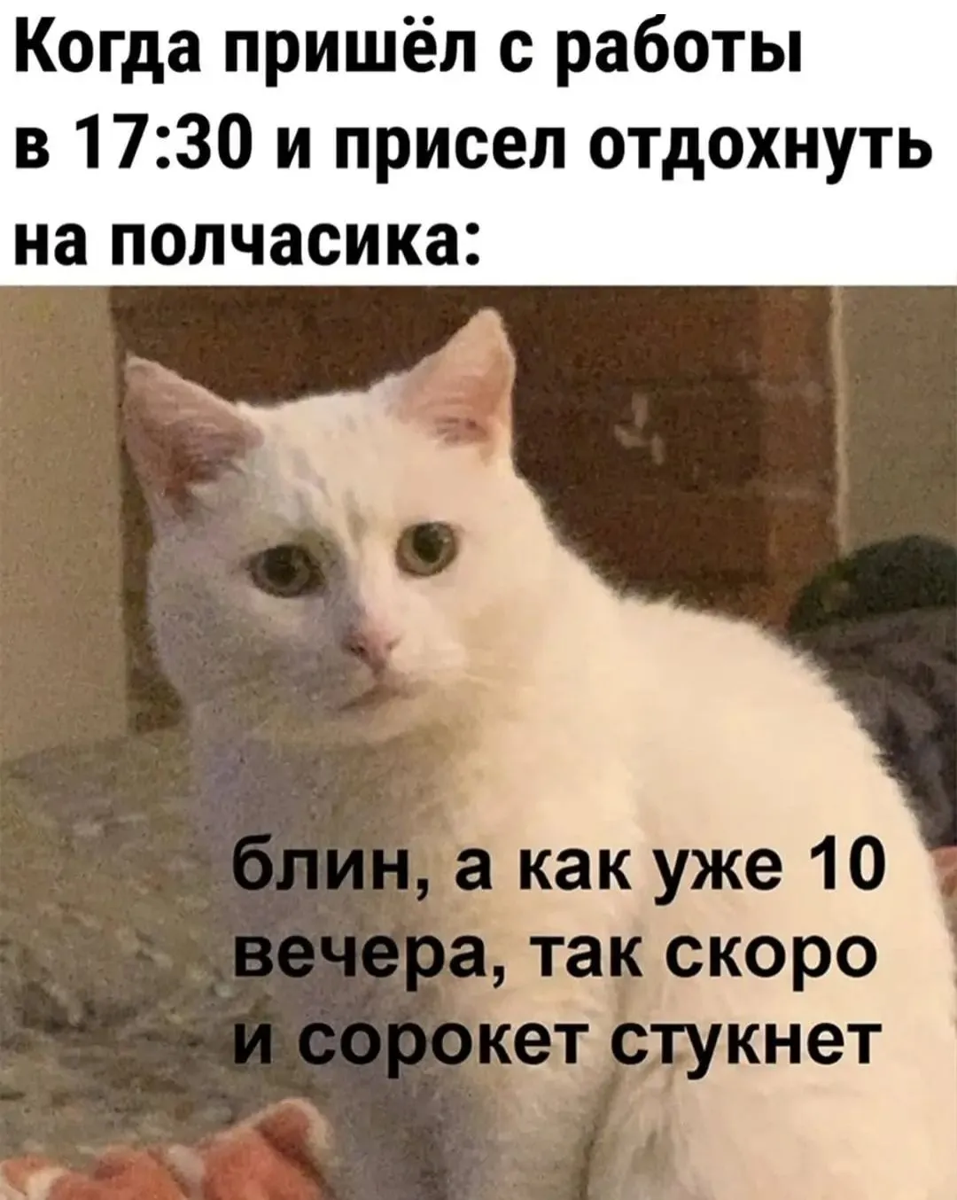 IMG_20240817_133424.webp