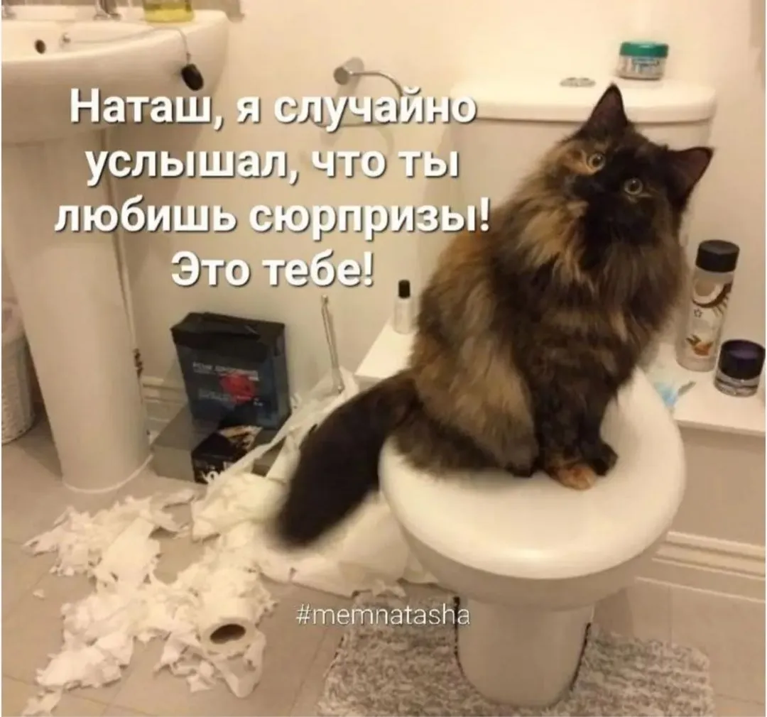 IMG_20240818_160609.webp