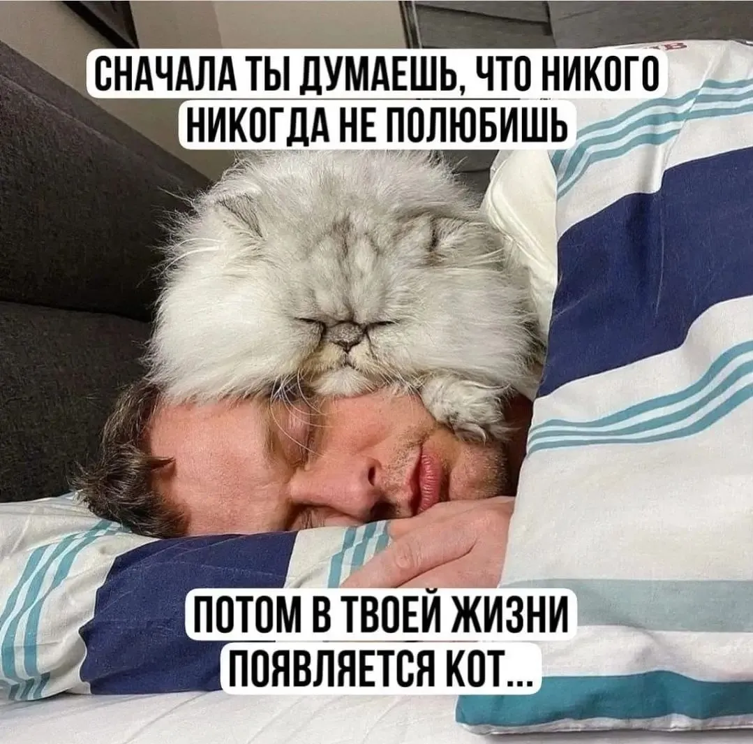 IMG_20240818_161033.webp