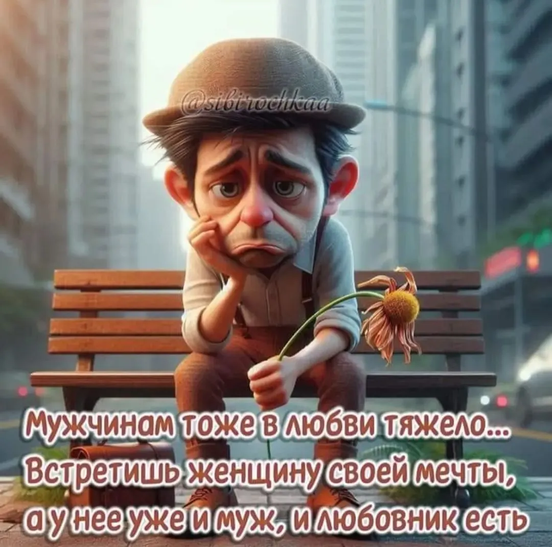 IMG_20240818_164422.webp