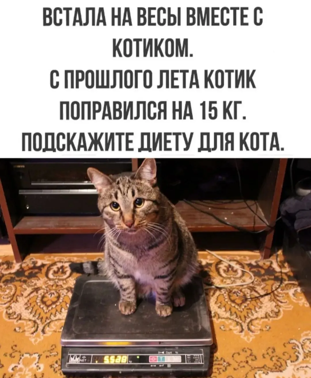IMG_20240819_070351.webp