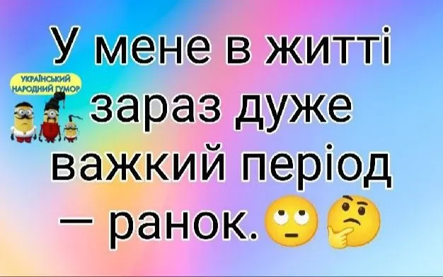 IMG_20240820_050833.webp