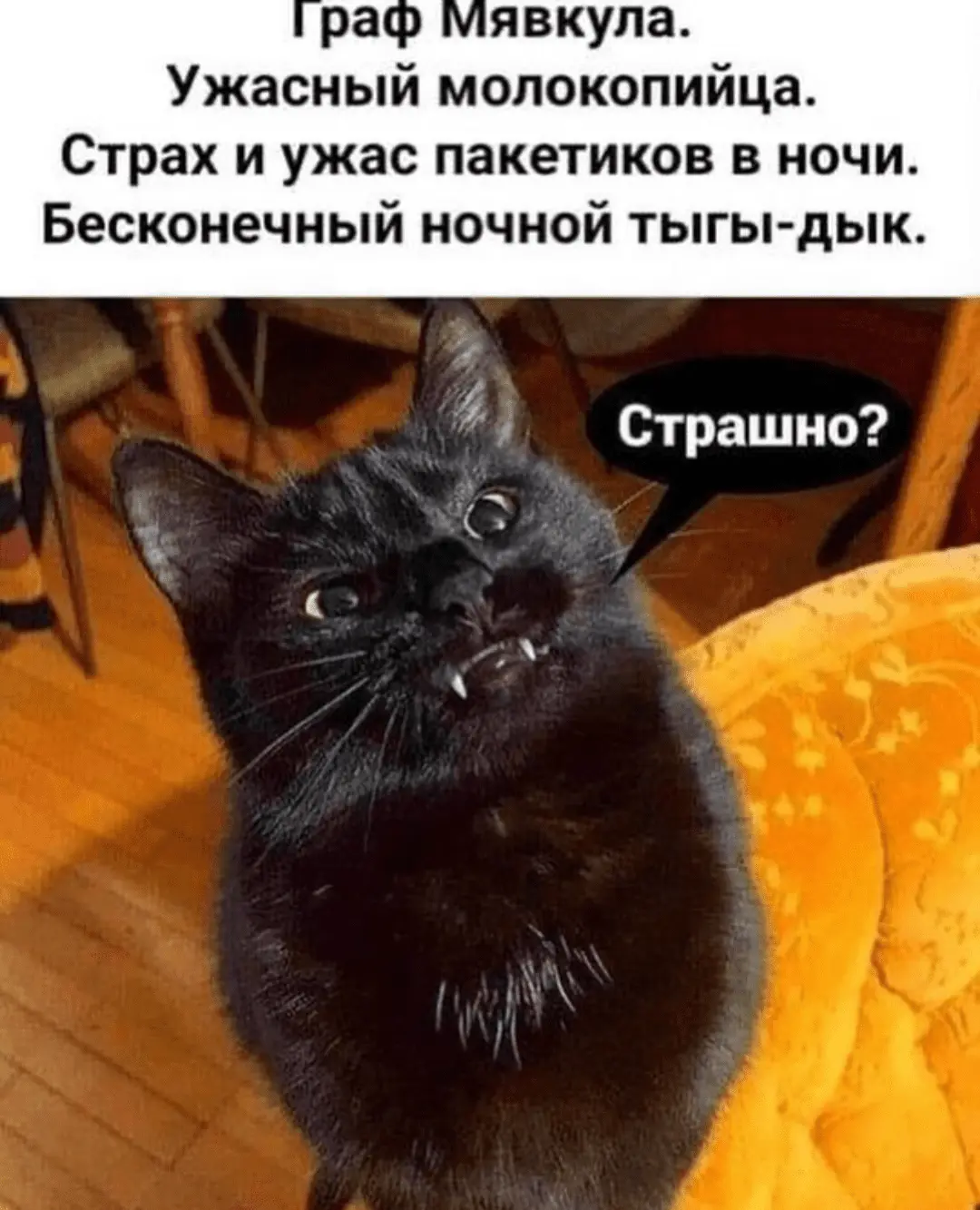 IMG_20240820_052711.webp