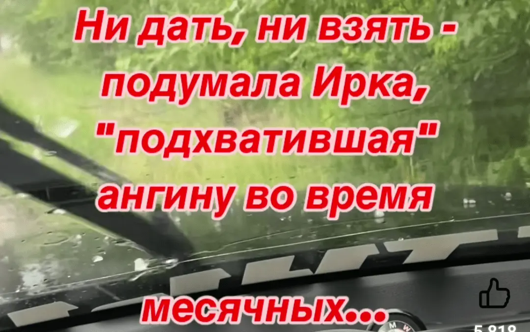 IMG_20240822_004007.webp