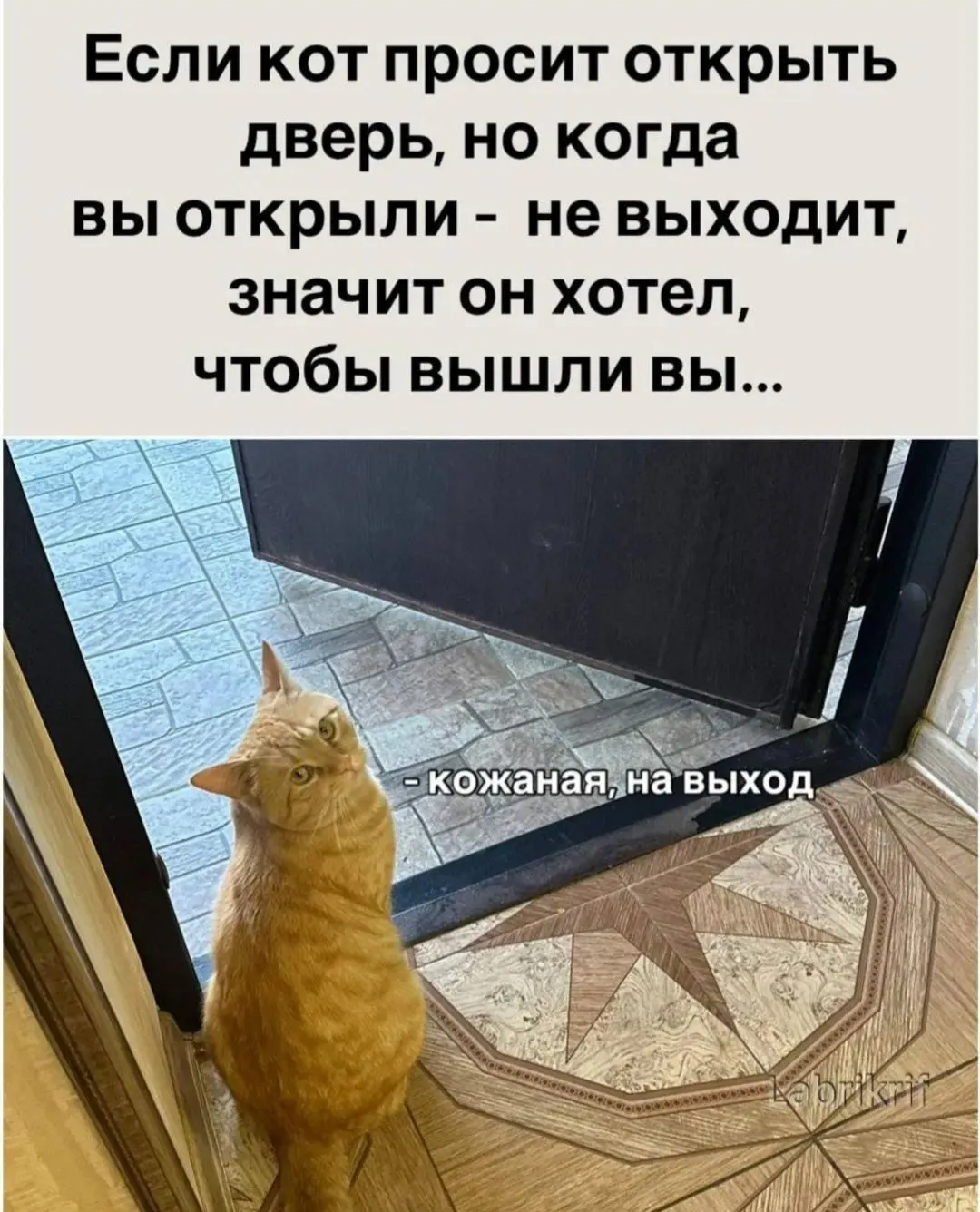 IMG_20240822_191259.webp