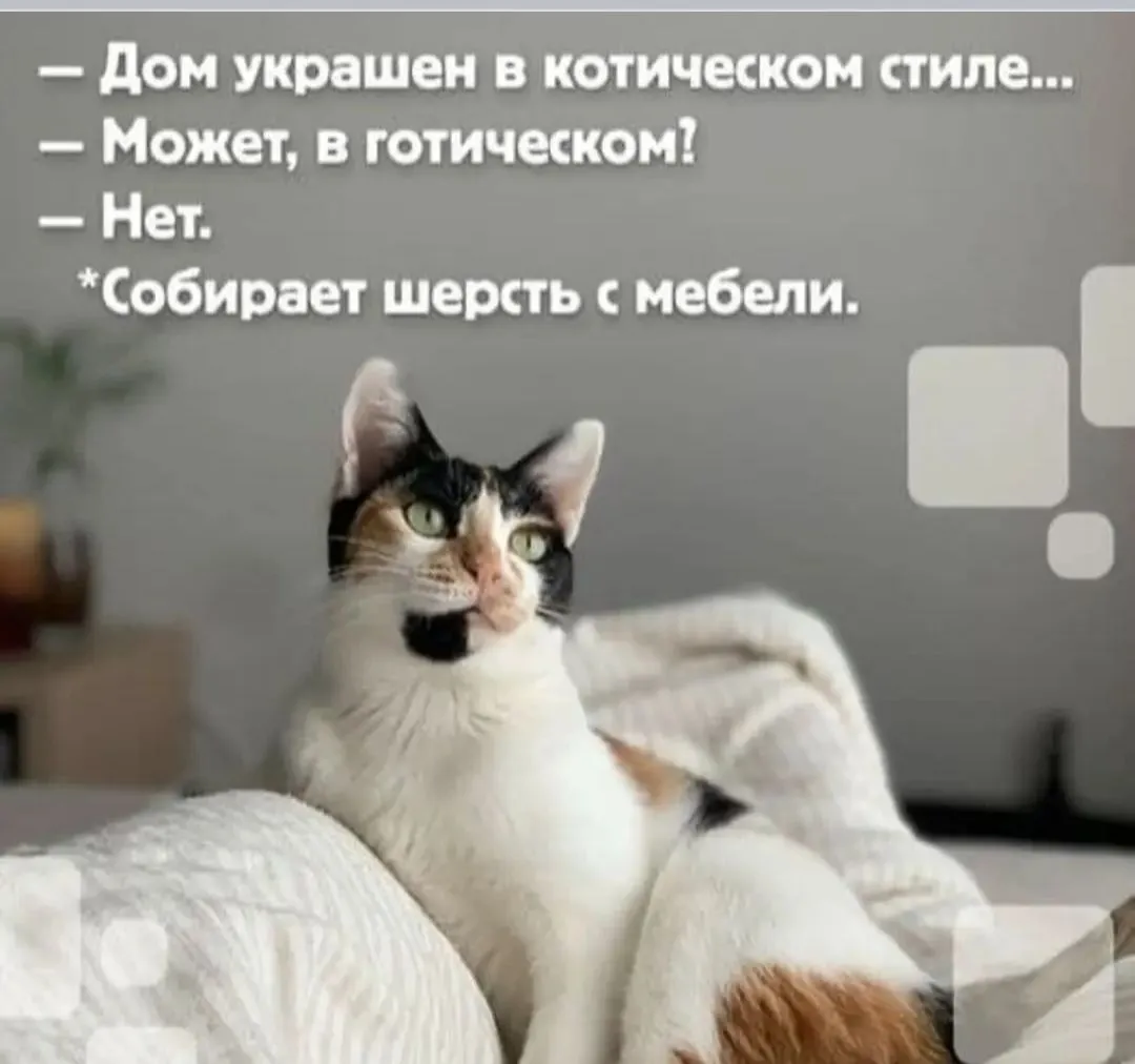 IMG_20240823_105440.webp