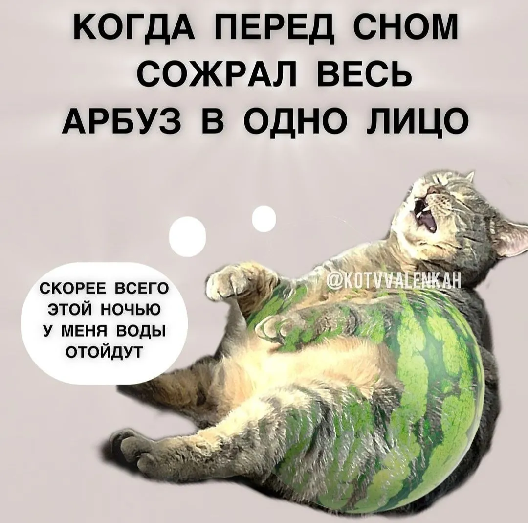 IMG_20240824_161117.webp