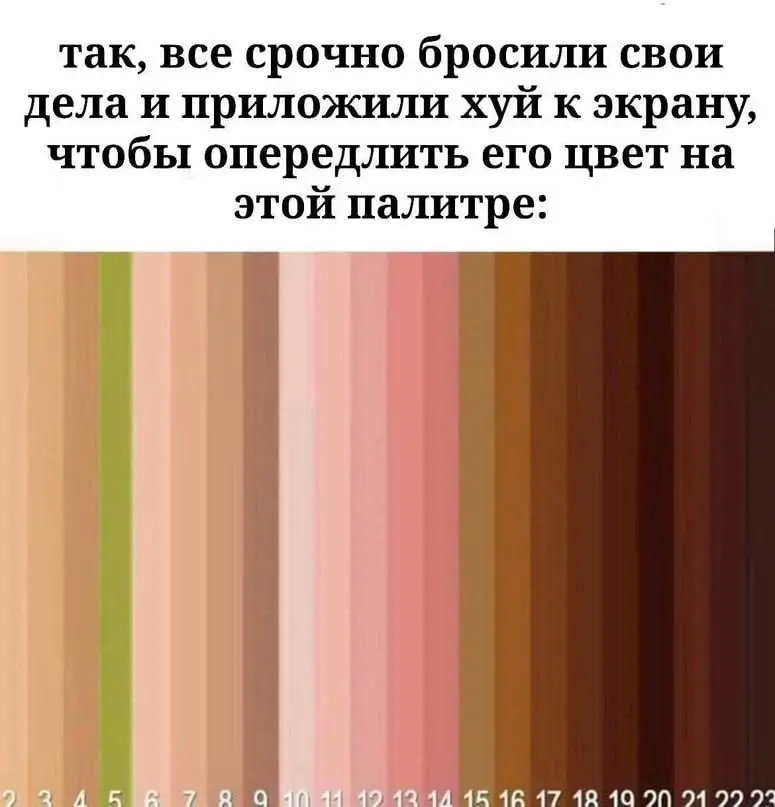 IMG_20240824_173317_941.webp