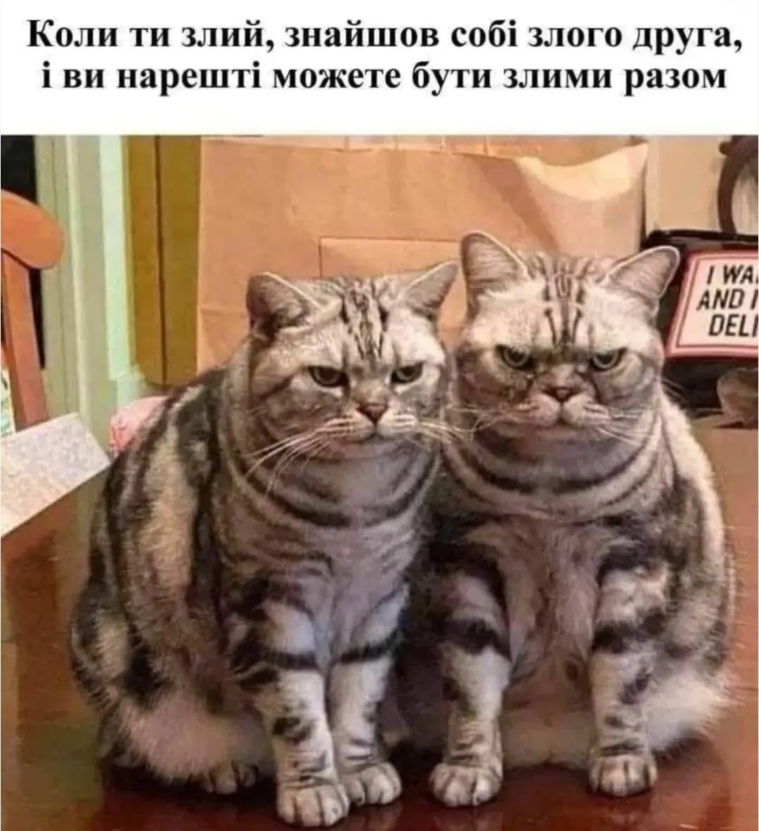 IMG_20240824_221638.webp