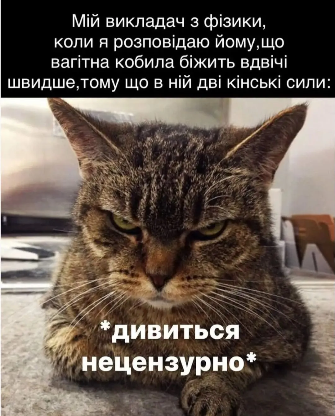 IMG_20240824_221841.webp
