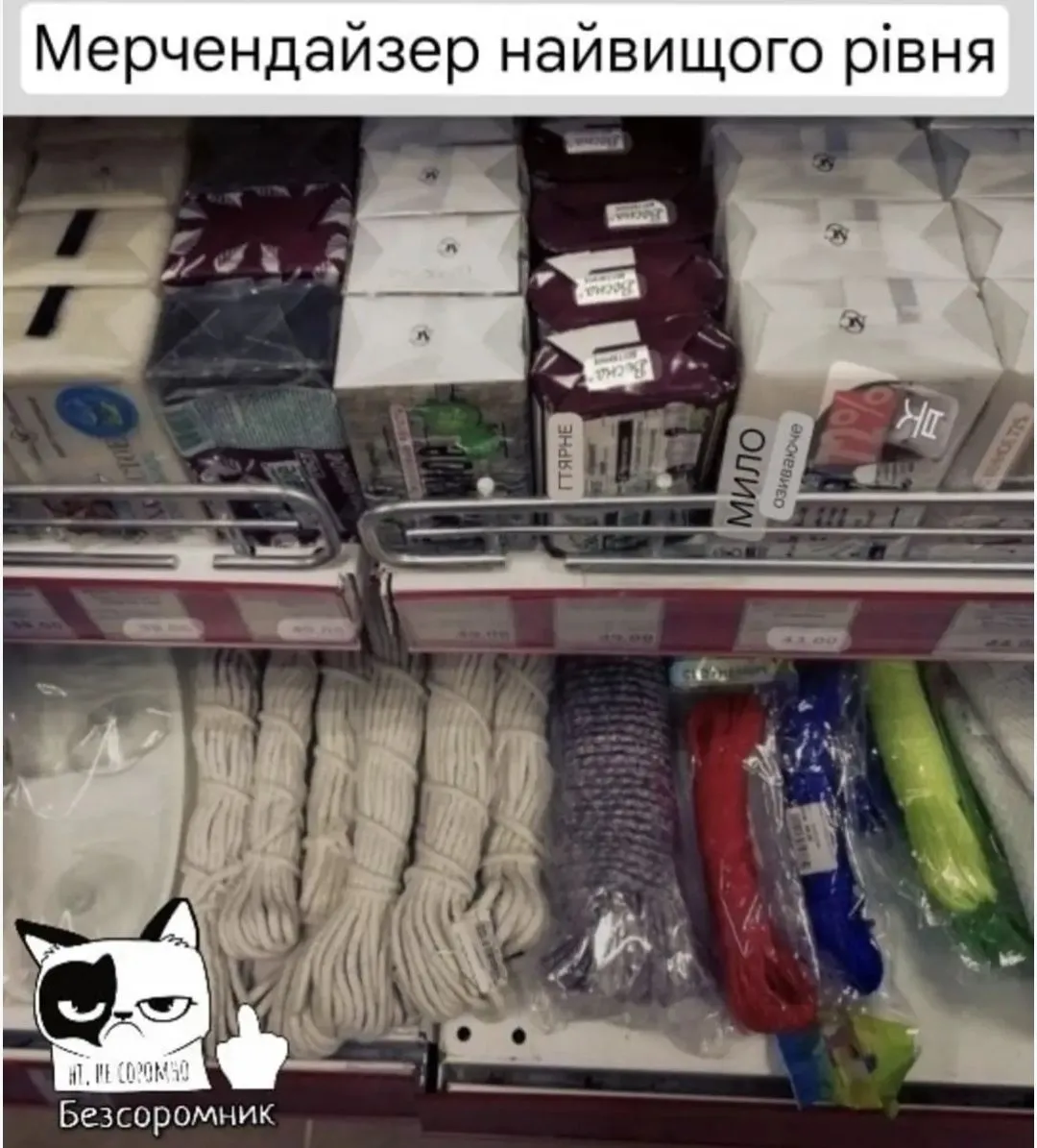 IMG_20240824_222705.webp