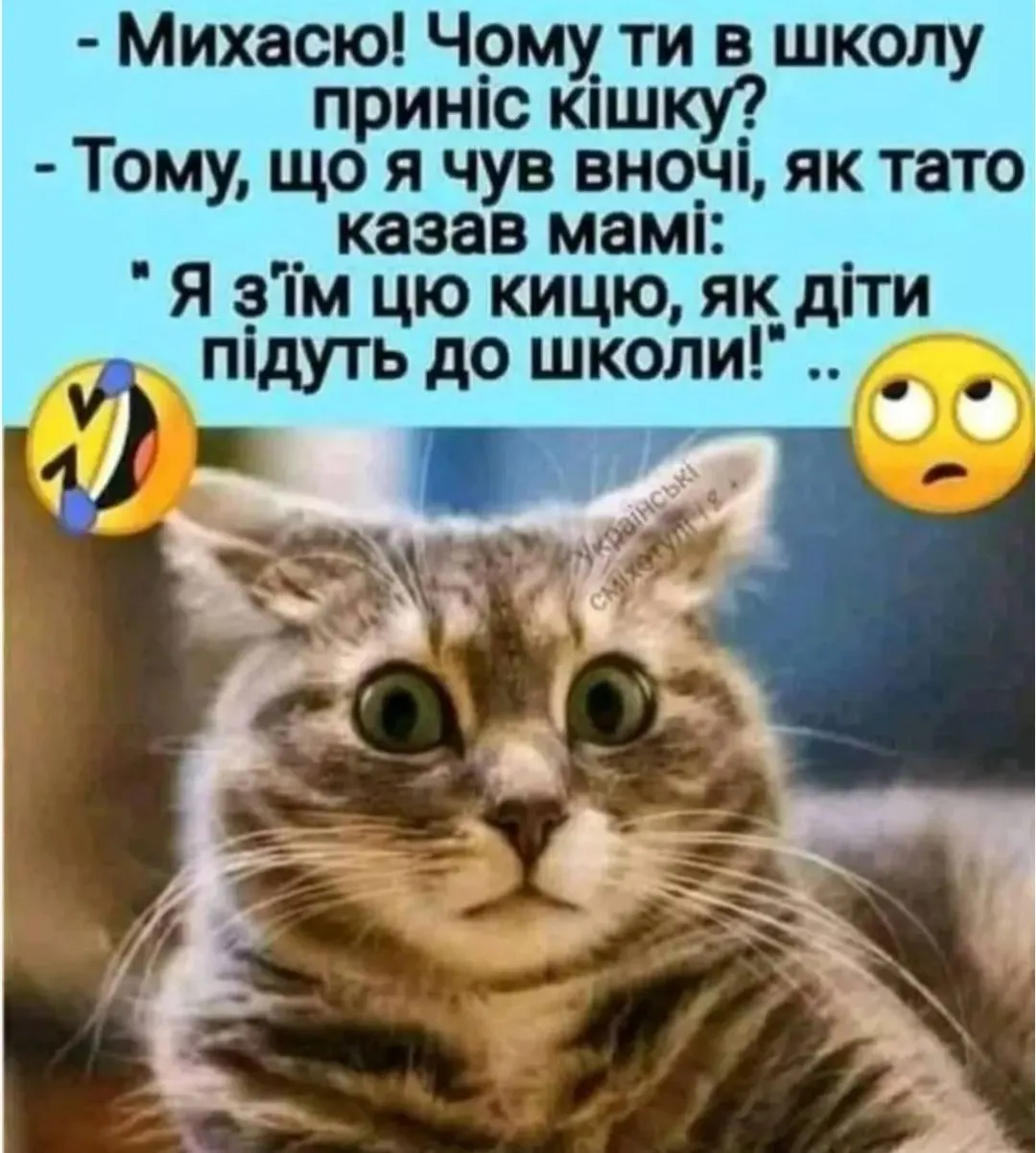 IMG_20240824_223207.webp