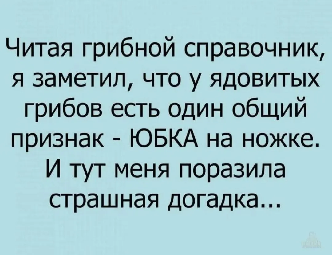 IMG_20240829_101443.webp
