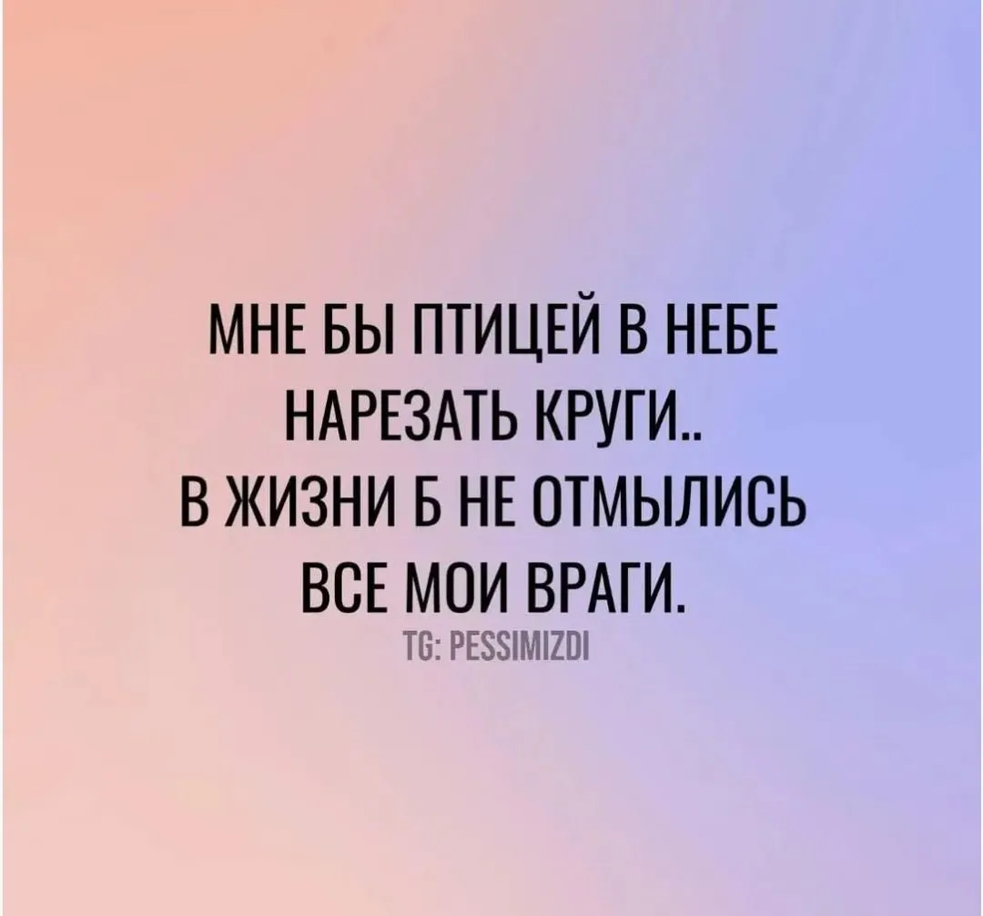 IMG_20240831_060227.webp
